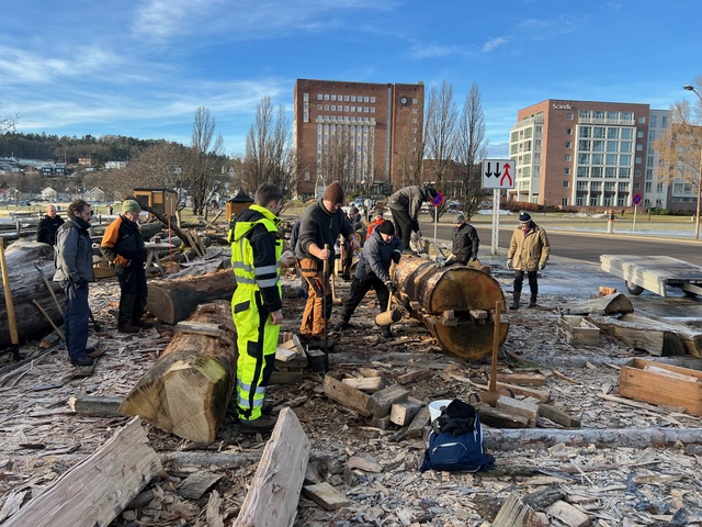 VOLUNTEERS of all ages—from 8 to 80—contribute to the work in Vikingparken.