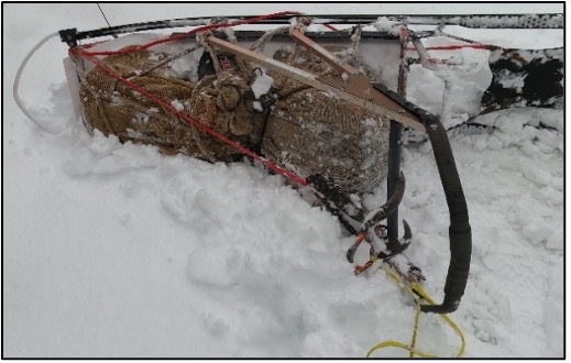 A dog sled with a 75-kilogram load was intentionally overturned, dragged on its side, and shaken for 1.5 hours by four dogs. The load shifted 30 cm forward as a result of the handling. (Photo: B. Kåresen)